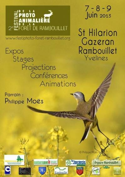 Affiche 2013