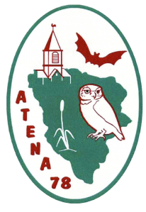 Atena 79