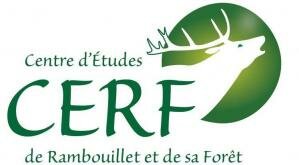 Cerf 1