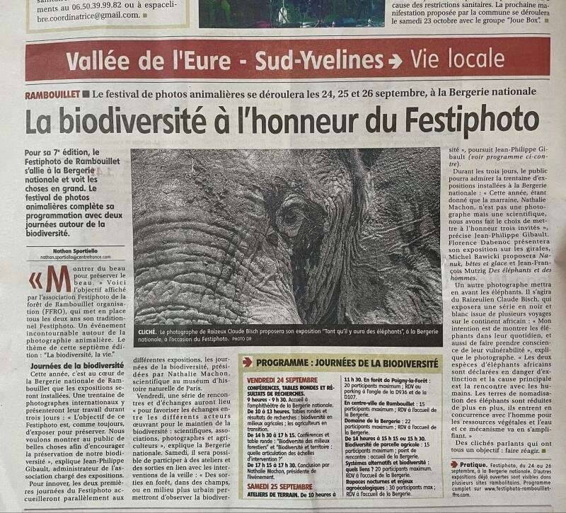 Les echos